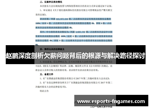 赵鹏深度剖析欠薪问题背后的根源与解决路径探讨