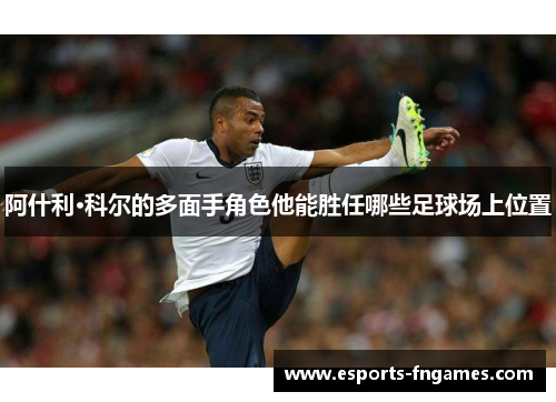 阿什利·科尔的多面手角色他能胜任哪些足球场上位置