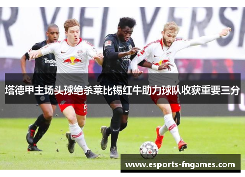 塔德甲主场头球绝杀莱比锡红牛助力球队收获重要三分 塔德甲主场头球绝杀莱比锡红牛助力球队收获重要三分